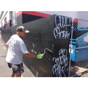 Anti grafitti paintovers